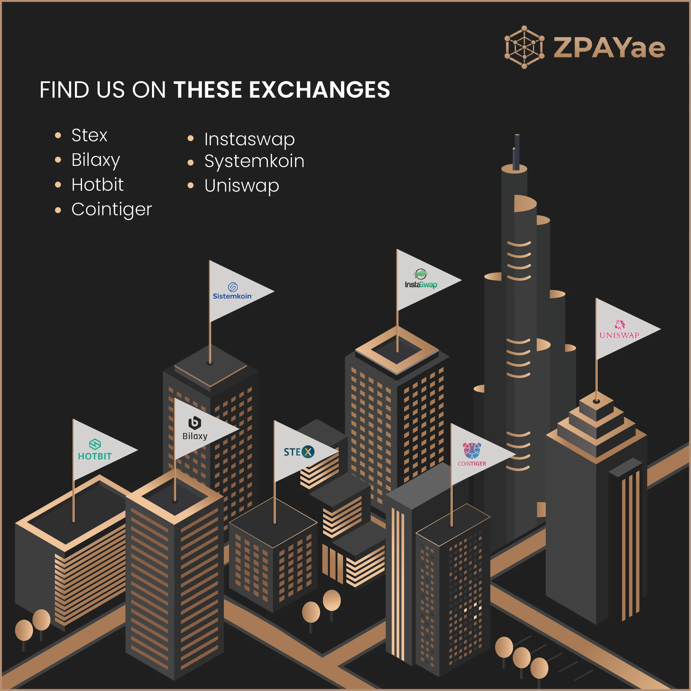 zpay-04