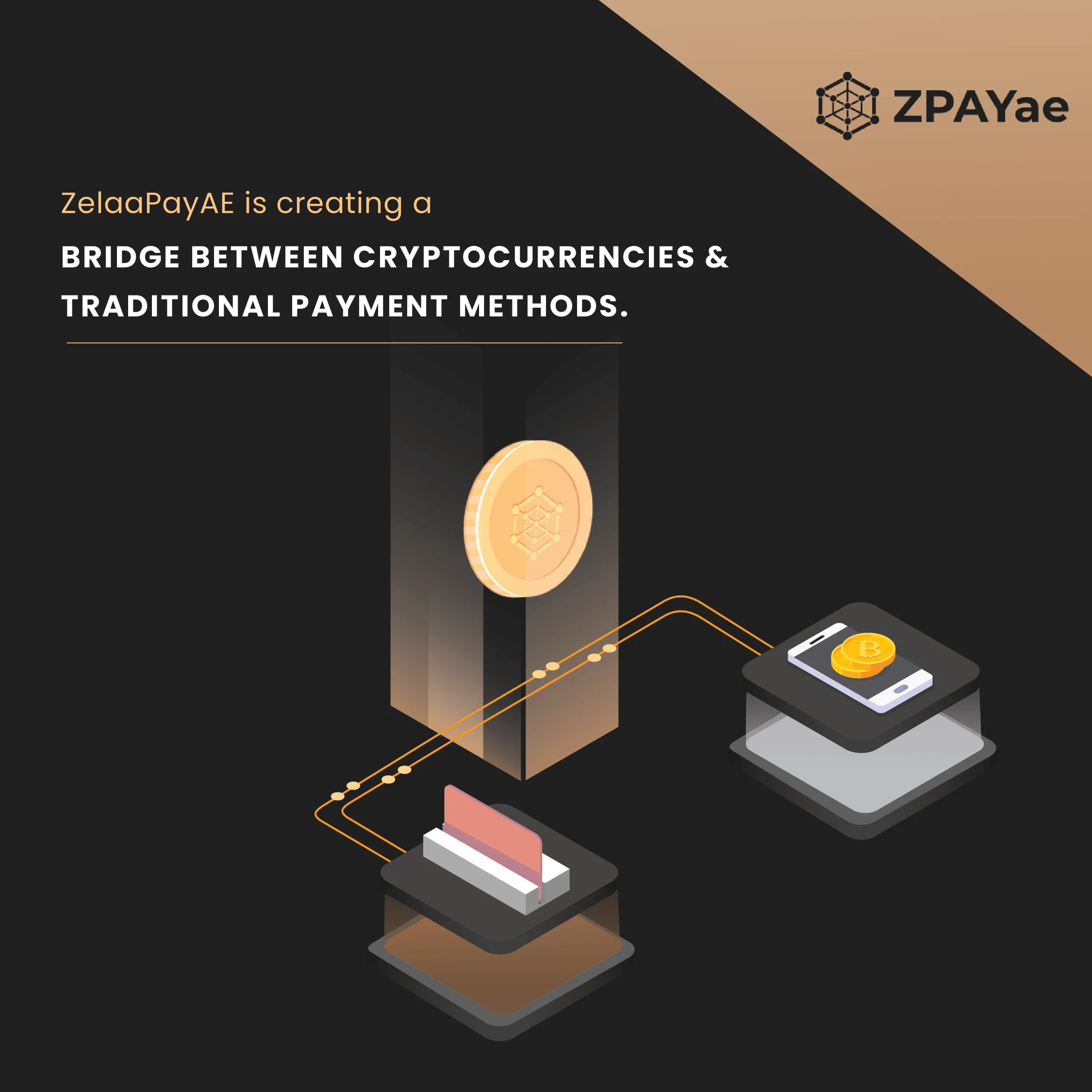zpay-17
