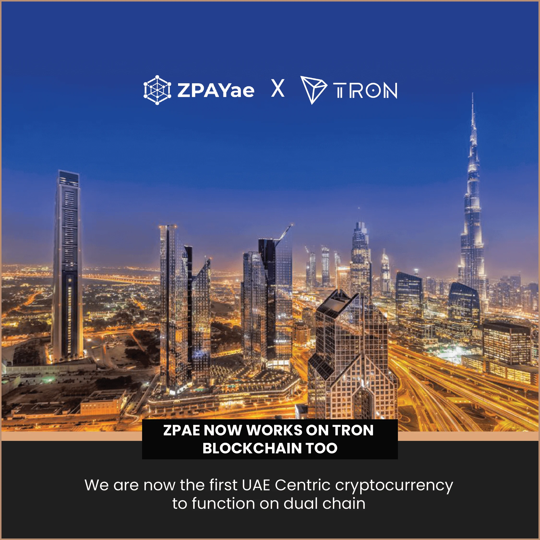 zpay-20
