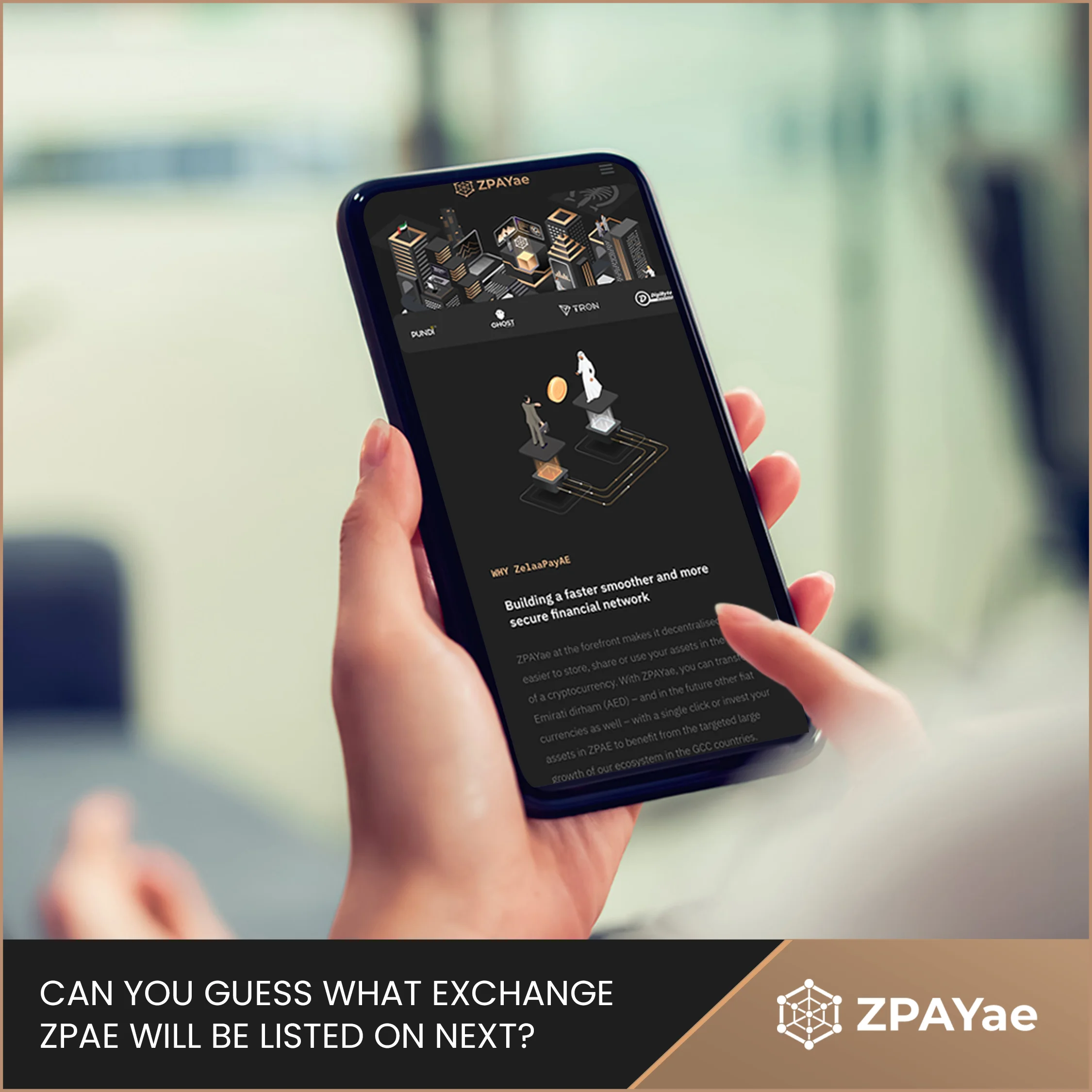 zpay-30